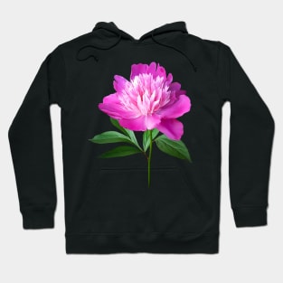 Peonies - One Pink Peony Hoodie